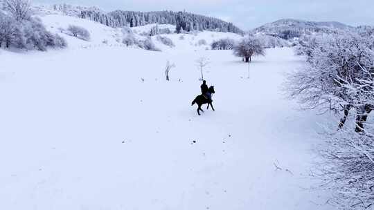 重庆武隆仙女山雪景骑马