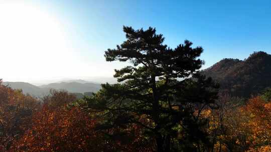 航拍秋天的千山风景