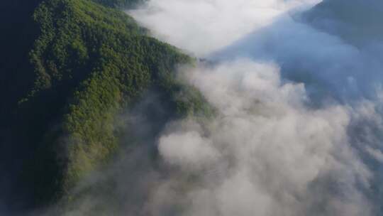 江南高山山谷云海浙江丽水松阳航拍