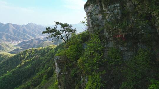 杭州富阳大高尖山野杜鹃花航拍