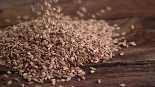 燕麦米五谷杂粮小麦