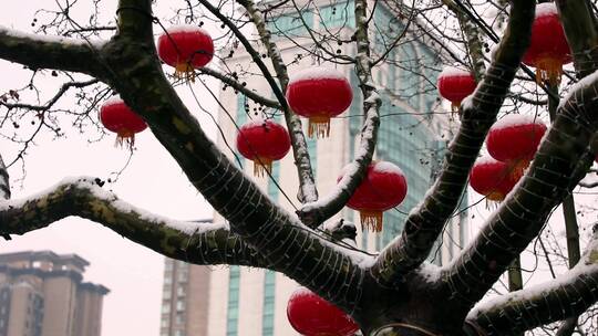 雪中的红灯笼视频素材春节年味瑞雪兆丰年视频素材模板下载