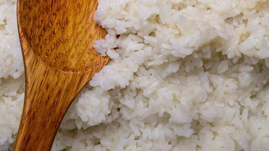 新鲜的大米米饭4k滑轨平移