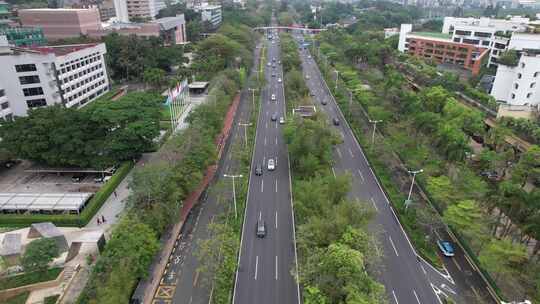 深圳深南大道-城市交通-城市车流