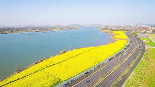 【合集】杭州春天风景延时