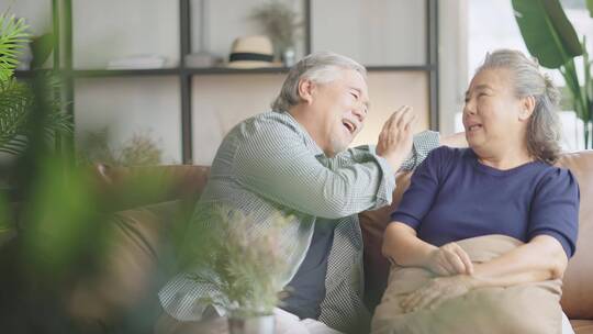 老年夫妇幸福退休休闲生活