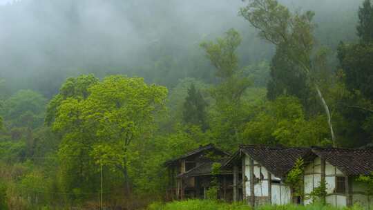 农村雨季云海 山 雾气 森林 大自然