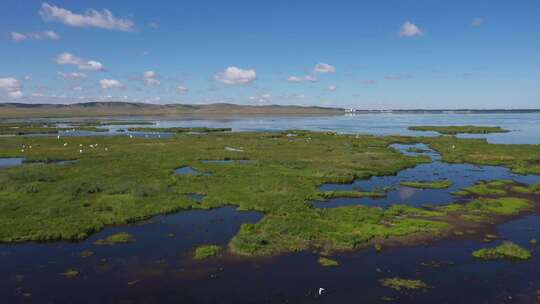 内蒙古生态修复土地复垦动物湖泊