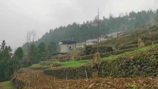 四川广元市朝天区山村梯田田园风光