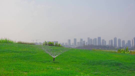 绿色草地绿化喷水浇灌