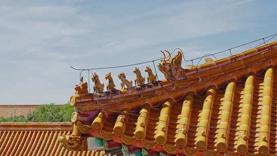 故宫宫殿屋脊兽0280