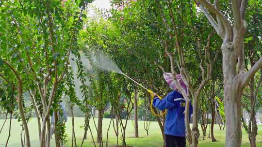 园林工人果农喷药除虫果树树木合集