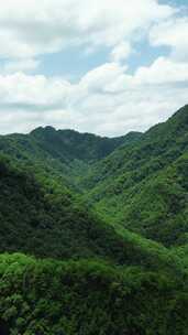 竖版航拍湖北神农架巴桃园景区4A景区