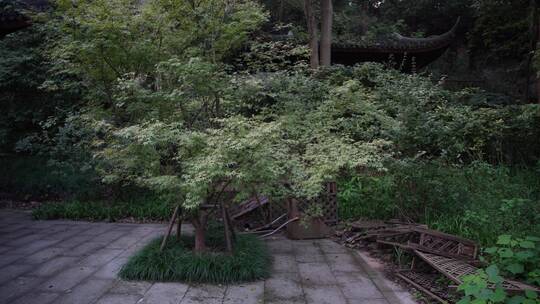 杭州三台山景区留馀山居