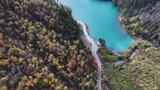 航拍九寨沟秋景彩林川西秋天原始森林五花海