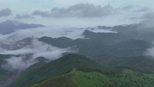 雨后云雾缭绕的仙境/绿色森林/绿水青山