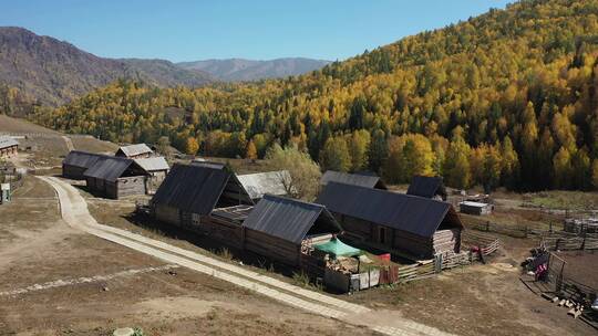 新疆禾木乡村建筑秋天的自然风光