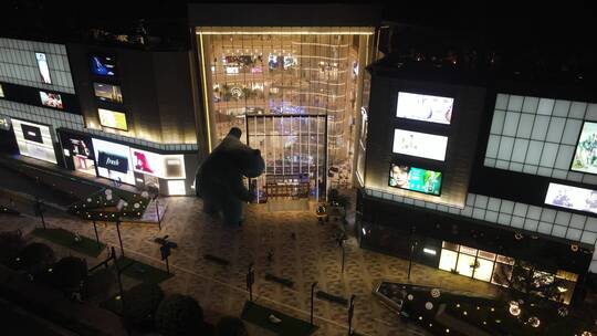 西安高新中大国际商业中心甘家寨高新路视频素材模板下载
