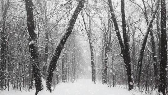 唯美简约雪景背景片头开场AE模版