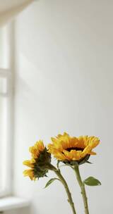 花瓶里盛开的向日葵竖屏
