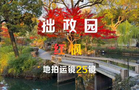 拙政园红枫拍摄运镜25镜组合