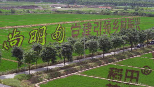 昆山稻田画航拍