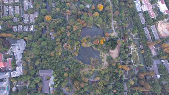 航拍杭州花圃园林景观视频