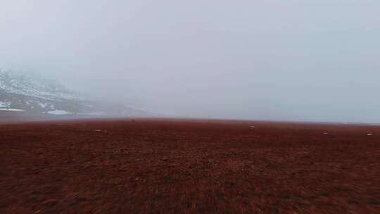 雪山天线旁的红土