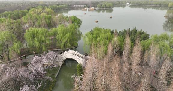 洛阳隋唐遗址植物园开元大道春天公园道路