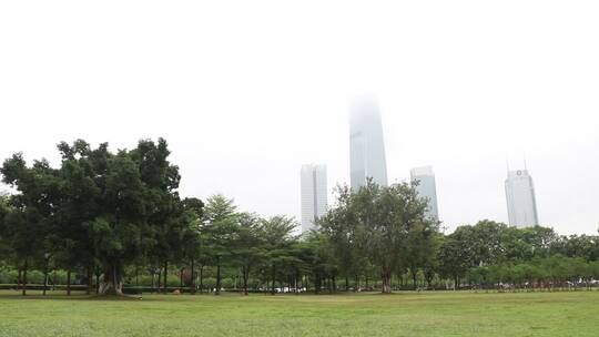 雨雾中的城市公园