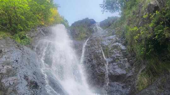 瀑布森林流水大自然小溪水山涧水源泉水山水视频素材模板下载