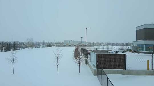 落下的雪覆盖了地面