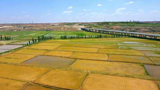 农业农田稻田水利灌溉航拍