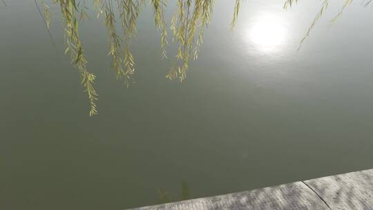 北京故宫护城河杨柳意境4K实拍视频素材模板下载