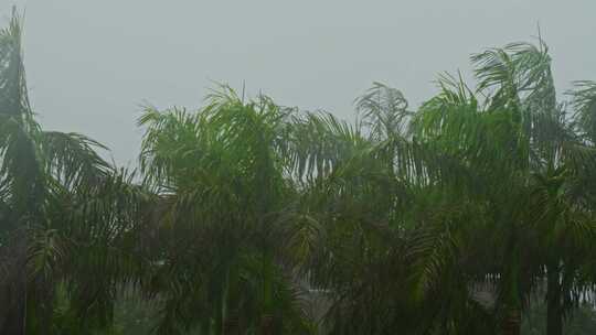 暴风雨台风雨下雨雨季