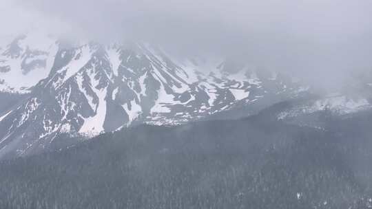 航拍云南香格里拉雪山森林草原 自然风光