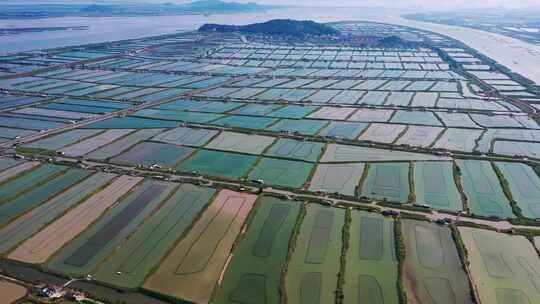 浙江三门，三门青蟹。养殖场地视频素材模板下载