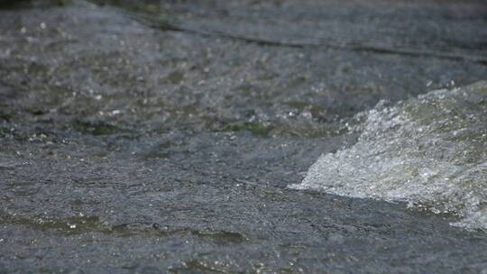 暴雨后小河里的洪水急流