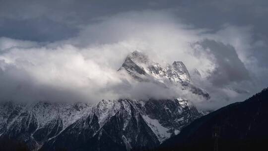 波密的雪山