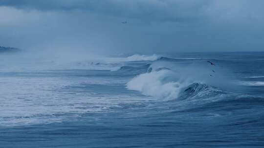 大海海浪海鸥飞机意境宣传片空镜