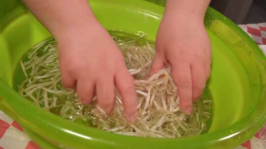 清洗绿豆芽捞出控水