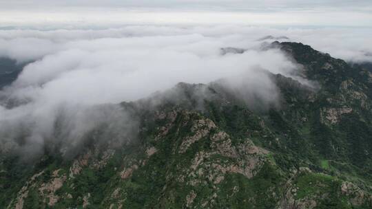 山顶云海延时素材