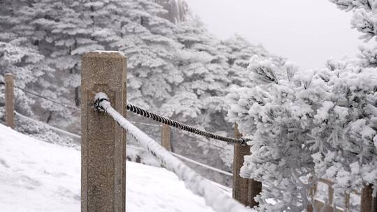 雪后黄山雾凇