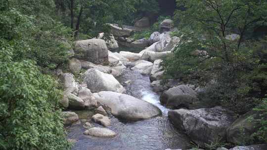 森林流水大自然小溪水瀑布山涧水源泉水山水