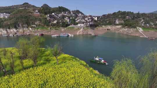 湖南湘西芙蓉镇酉水河油菜花航拍自然景观