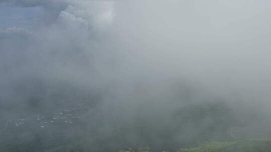 云雾 森林 天空 山脉