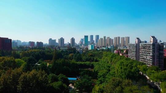 上海的城市公园视频素材模板下载