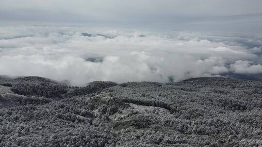 航拍佛教名山四川峨眉山，云海缭绕树林白雪