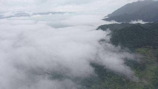 高清4K云海航拍山区森林风光风景素材空镜