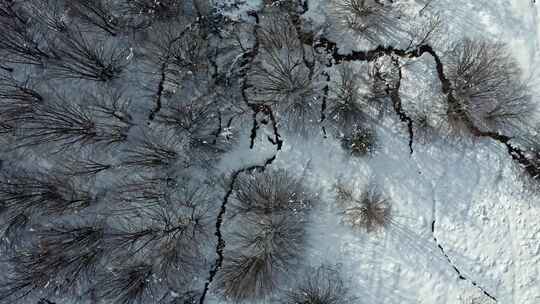 雪，无人机，意大利，树